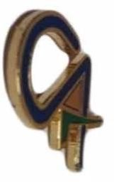 Lapel Pin