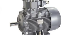Explosion Proof Motor