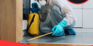 Termite Control Services