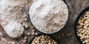 Untoasted Defatted Soya Flour