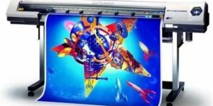 Eco Solvent Vinyl Printing Service