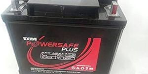 Exide Powersafe Plus 42Ah SMF Battery