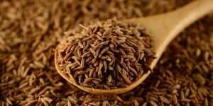 Cumin Seed