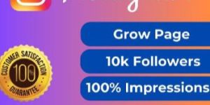 Instagram Organic Promotion Service