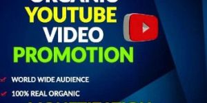 Organic Youtube Video Promotion