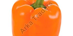 Fresh Orange Capsicum