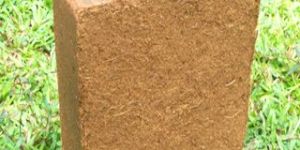 Coco Peat 5kg Blocks