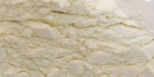 Skimmed Milk Powder