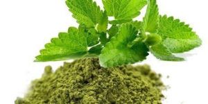 Tulsi Powder