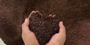 Joopi Ipoh White Coffee