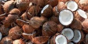 Desiccated Coconut
