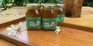 Forest Honey