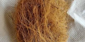 Coconut Coir Fiber