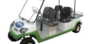 Golf Cart with Luggage Carrier