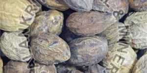 Harad Terminalia Chebula