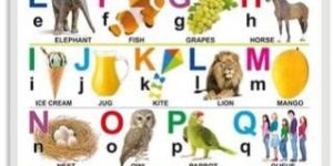 KIDS EDUCATIONAL CHARTS