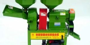 Combined Mini Rice Mill