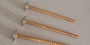 Brass Screw