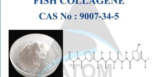 Fish Collagen