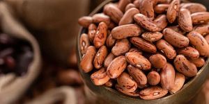 Kidney Beans