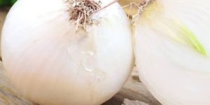 White Onion