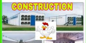 Poultry Consultancy Services