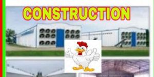 Poultry Shed Construction