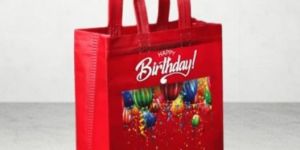 Woven & Non Woven Shopping Bags