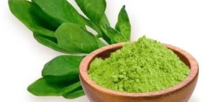Spinach Powder