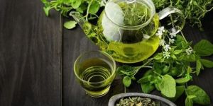 Green Tea Extract