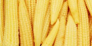 Baby Corns
