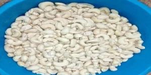 Processed Cashew Kernels