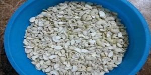 White Cashew Nuts