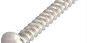 Stainless Steel Screw