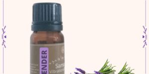 Lavender Essential Oil