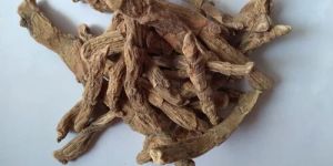 Dried Calamus Roots