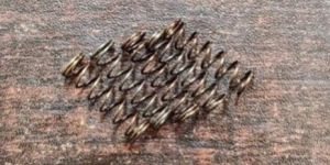 Mild Steel Springs