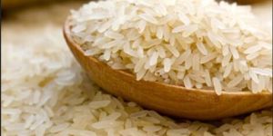 IR 8 Non Basmati Rice