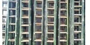 Bamboo Ladder