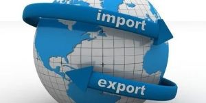 Import And Export Consultancy Services