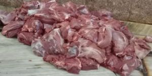 Frozen Boneless Pork Meat