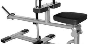 Seated Calf Machine