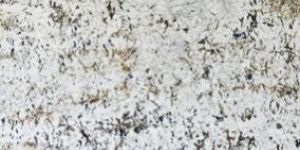 Alaska White Granite Marble