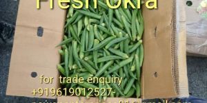 Fresh Okra