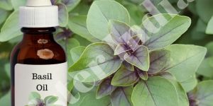 Basil Oil