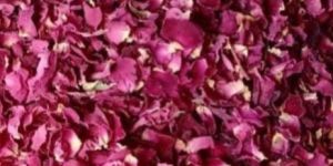 Fresh Rose Petals