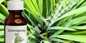 Lemon Grass Oil