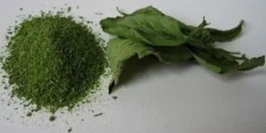 Stevia Powder