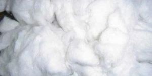 Raw Cotton