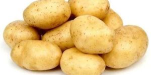 Fresh Potato